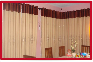 Plants: image 1 0f 4 thumb